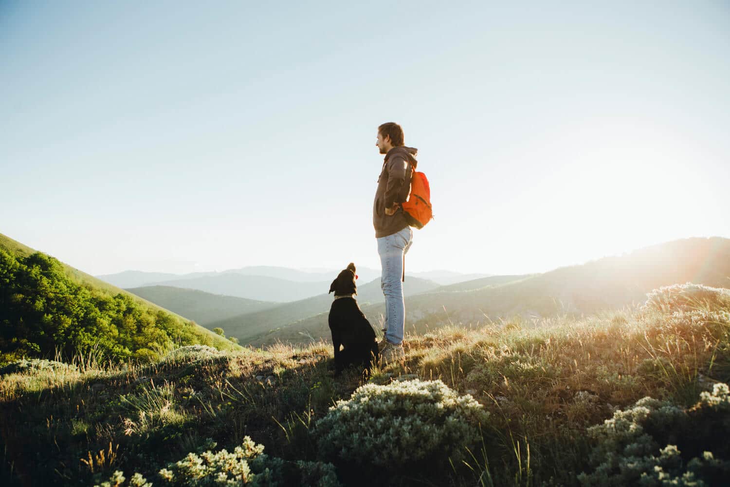 clairmont-crest-residents-Mobile Homes For Sale Asheville 5